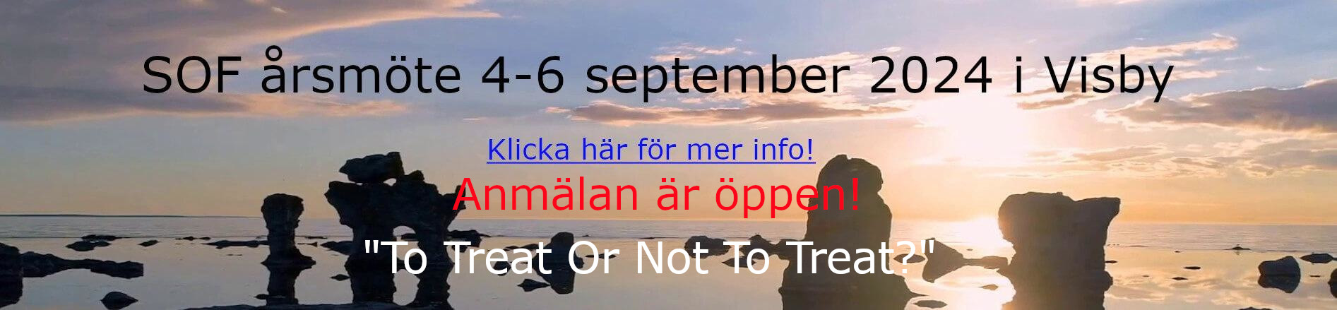 Banner SOF årsmöte 4-6 september 2024 i Visby
